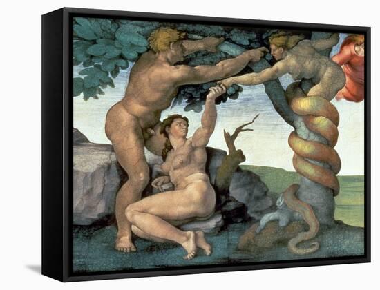 Sistine Chapel Ceiling (1508-12): the Fall of Man, 1510 (Post Restoration)-Michelangelo Buonarroti-Framed Stretched Canvas