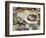 Sistine Chapel Ceiling, Creation of Adam, 1510-Michelangelo Buonarroti-Framed Giclee Print