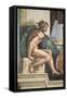 Sistine Chapel Ceiling, Female Nude-Michelangelo Buonarroti-Framed Stretched Canvas