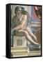 Sistine Chapel Ceiling, Male Nude-Michelangelo Buonarroti-Framed Stretched Canvas