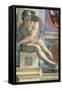 Sistine Chapel Ceiling, Male Nude-Michelangelo Buonarroti-Framed Stretched Canvas