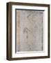 Sistine Chapel Ceiling-Michelangelo Buonarroti-Framed Giclee Print