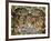 Sistine Chapel: the Last Judgement, 1538-41-Michelangelo Buonarroti-Framed Giclee Print