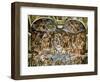 Sistine Chapel: the Last Judgement, 1538-41-Michelangelo Buonarroti-Framed Giclee Print