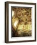 Sistine Chapel, Vatican, Rome, Lazio, Italy-John Ross-Framed Photographic Print