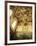 Sistine Chapel, Vatican, Rome, Lazio, Italy-John Ross-Framed Photographic Print