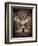 Sistine Chapel-Michelangelo Buonarroti-Framed Giclee Print