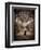 Sistine Chapel-Michelangelo Buonarroti-Framed Giclee Print