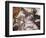 Sistine Chapel-Michelangelo-Framed Art Print