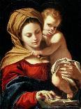 Madonna and Child-Sisto Badalocchio-Giclee Print