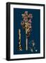 Sisymbrium Officinale; Common Hedge-Mustard-null-Framed Giclee Print