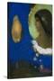 Sita, C.1893-Odilon Redon-Stretched Canvas