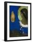 Sita, C.1893-Odilon Redon-Framed Premium Giclee Print