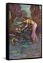 Sita Finds Rama Among Lotus Blooms-null-Framed Stretched Canvas
