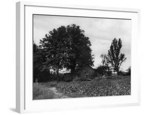 Site of Emmett Till's Kidnapping-Ed Clark-Framed Photographic Print