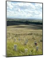 Site of Massacre, Including Where Custer Fell, Little Big Horn, Montana, USA-Ethel Davies-Mounted Photographic Print