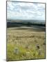 Site of Massacre, Including Where Custer Fell, Little Big Horn, Montana, USA-Ethel Davies-Mounted Photographic Print