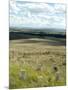 Site of Massacre, Including Where Custer Fell, Little Big Horn, Montana, USA-Ethel Davies-Mounted Photographic Print