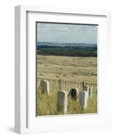 Site of Massacre, Including Where Custer Fell, Little Big Horn, Montana, USA-Ethel Davies-Framed Photographic Print