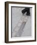Site of the Berlin Wall, Street, Berlin, Germany, Europe-Martin Child-Framed Photographic Print
