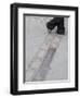 Site of the Berlin Wall, Street, Berlin, Germany, Europe-Martin Child-Framed Photographic Print
