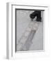 Site of the Berlin Wall, Street, Berlin, Germany, Europe-Martin Child-Framed Photographic Print