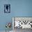 Sitka, Alaska - Bald Eagle - Scratchboard-Lantern Press-Stretched Canvas displayed on a wall