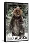 Sitka, Alaska - Bear Standing in Snow-Lantern Press-Framed Stretched Canvas