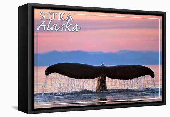 Sitka, Alaska - Humpback Fluke and Sunset-Lantern Press-Framed Stretched Canvas