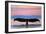 Sitka, Alaska - Humpback Fluke and Sunset-Lantern Press-Framed Art Print