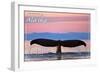 Sitka, Alaska - Humpback Fluke and Sunset-Lantern Press-Framed Art Print