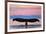 Sitka, Alaska - Humpback Fluke and Sunset-Lantern Press-Framed Premium Giclee Print