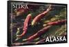 Sitka, Alaska - Salmon-Lantern Press-Framed Stretched Canvas