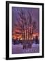 Sitka, Alaska - Tree in Snow-Lantern Press-Framed Art Print