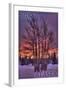 Sitka, Alaska - Tree in Snow-Lantern Press-Framed Art Print