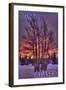 Sitka, Alaska - Tree in Snow-Lantern Press-Framed Art Print