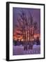 Sitka, Alaska - Tree in Snow-Lantern Press-Framed Art Print