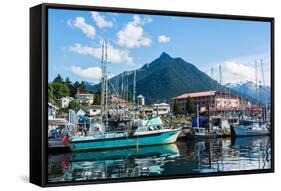 Sitka, Alaska, USA-Mark A Johnson-Framed Stretched Canvas