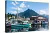 Sitka, Alaska, USA-Mark A Johnson-Stretched Canvas