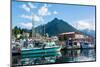 Sitka, Alaska, USA-Mark A Johnson-Mounted Premium Photographic Print