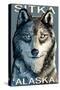 Sitka, Alaska - Wolf Up Close, c.2009-Lantern Press-Stretched Canvas