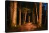 Sitka National Historic Park aka Totem Park, Sitka, Alaska-Mark A Johnson-Stretched Canvas