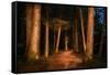 Sitka National Historic Park aka Totem Park, Sitka, Alaska-Mark A Johnson-Framed Stretched Canvas