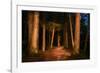 Sitka National Historic Park aka Totem Park, Sitka, Alaska-Mark A Johnson-Framed Photographic Print