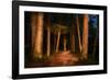 Sitka National Historic Park aka Totem Park, Sitka, Alaska-Mark A Johnson-Framed Photographic Print