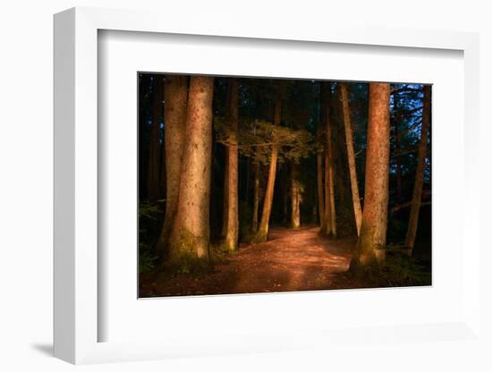 Sitka National Historic Park aka Totem Park, Sitka, Alaska-Mark A Johnson-Framed Photographic Print