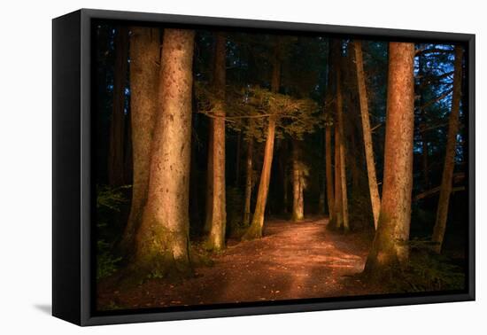 Sitka National Historic Park aka Totem Park, Sitka, Alaska-Mark A Johnson-Framed Stretched Canvas