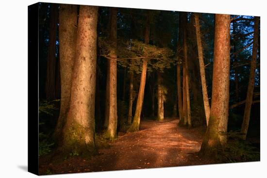 Sitka National Historic Park aka Totem Park, Sitka, Alaska-Mark A Johnson-Stretched Canvas