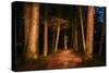 Sitka National Historic Park aka Totem Park, Sitka, Alaska-Mark A Johnson-Stretched Canvas