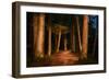 Sitka National Historic Park aka Totem Park, Sitka, Alaska-Mark A Johnson-Framed Photographic Print